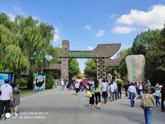 -溱湖国家湿地公园