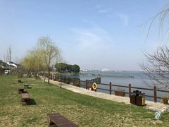 -鹅湖玫瑰文化园