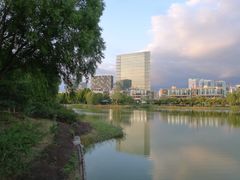 -大兴滨河森林公园