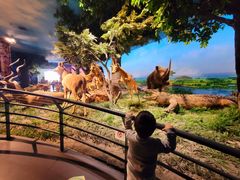 -国家自然博物馆