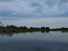 -泗洪洪泽湖湿地景区