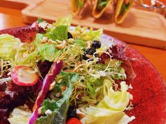 牛肉塔塔-布拉格餐厅· 中欧捷克菜(全国首店)