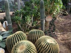 -龙达温泉生态城