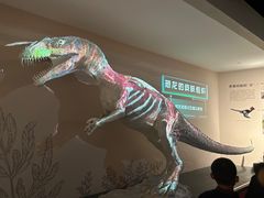 -自贡恐龙博物馆