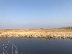 -野鸭湖国家湿地公园