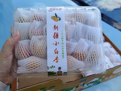 -西郊国际农产品交易中心