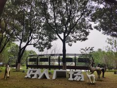 -昆山城市生态森林公园