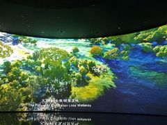 -中国湿地博物馆