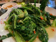 油麦菜-竹林农庄