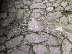 -汇龙潭