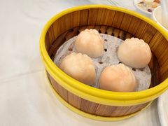 -一品粤珍轩(吴中路店)