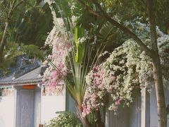 -深圳国际园林花卉博览园
