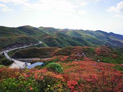 -大围山国家森林公园