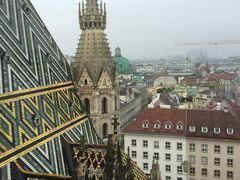-斯蒂芬主教座堂(Stephansdom)