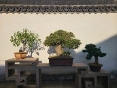 -马相伯故居
