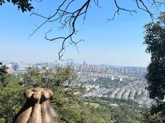 -灵岩山风景区