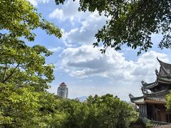 -南普陀寺