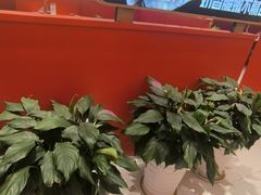 -牛物鲜切牛肉火锅(宜家荟聚店)