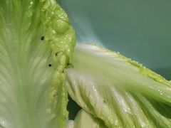 -池云涧自然椰子鸡(万泰汇店)
