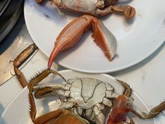 -半岛听涛蒸汽海鲜自助(K11店)