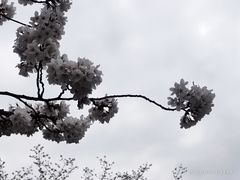 -临平公园(临平街道)