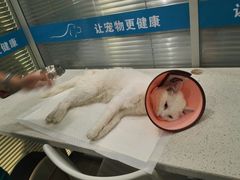 -美迦爱-牙专科·兔科·骨科诊疗中心(北苑店)