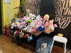 -志龙皇冠吃货椰子铺