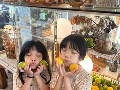 -野草莓自由市场