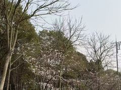 -梁鸿国家湿地公园