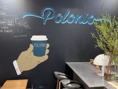 -polonio
