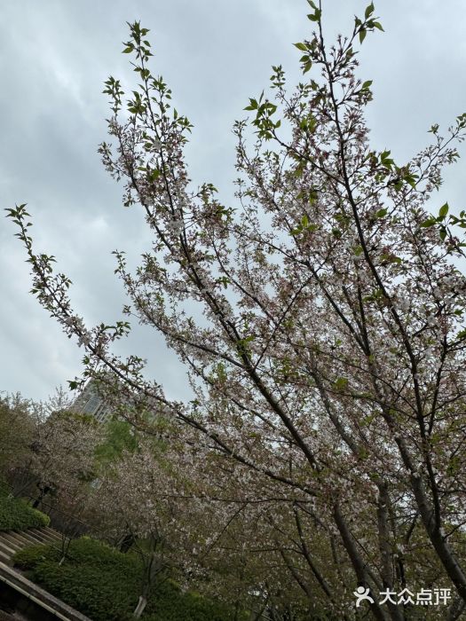 诺贝尔湖公园图片