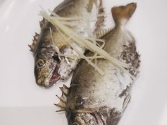 -青蓬蒸汽海鲜·深圳老字号·团建聚会(壹方城店)