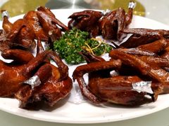 -席家花园(巨鹿花园店)