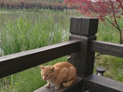 -品渔味湖鲜馆(拈花湾店)