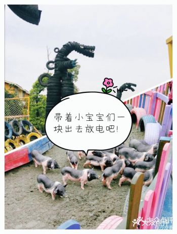 夏天来啦，你们是不是也打算带着小宝宝们去哪里打卡玩一