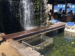 -京北渔家傲