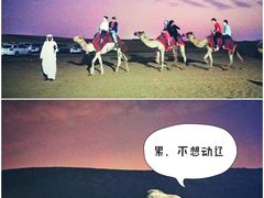 -迪拜沙漠冲沙