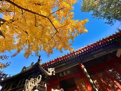 -红螺寺