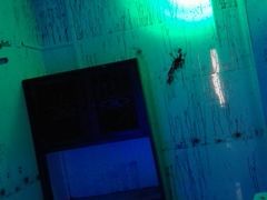 -S-TIME剧情真人密室逃脱(天一广场总店)