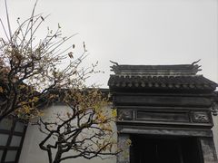 -拙政园