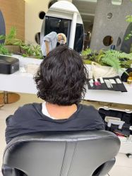 -GANO HAIR 