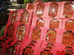 -Olé精品超市(北京合生汇店)