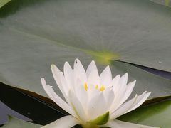-西安浐灞国家湿地公园
