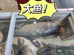-老刘生态大鱼坊铁锅炖鱼(赛马场店)