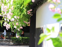 -颐和路民国时期公馆风貌区