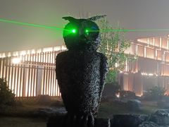 -黄海国家森林公园