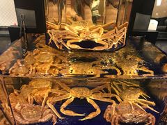 -蟹道乐(道顿堀本店)