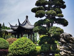 -上海皇廷花园酒店·西餐厅·自助餐
