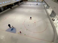 -TheRink大零溜冰场(IFS国金中心店)