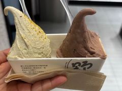 -野人先生现做冰淇淋(北京环宇荟店)